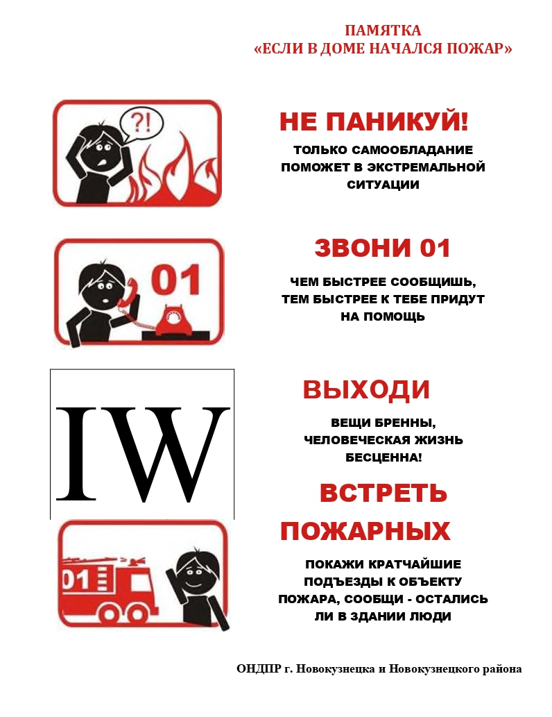 2 (1).jpg